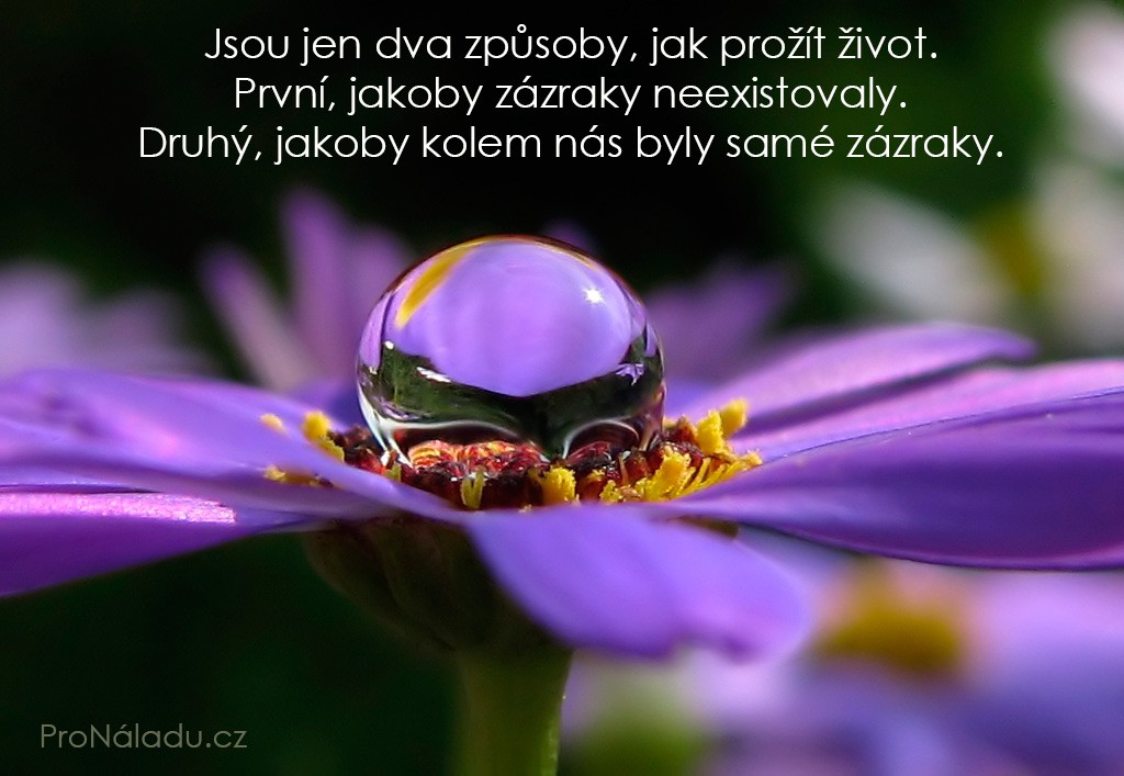 164-sami-zazraky