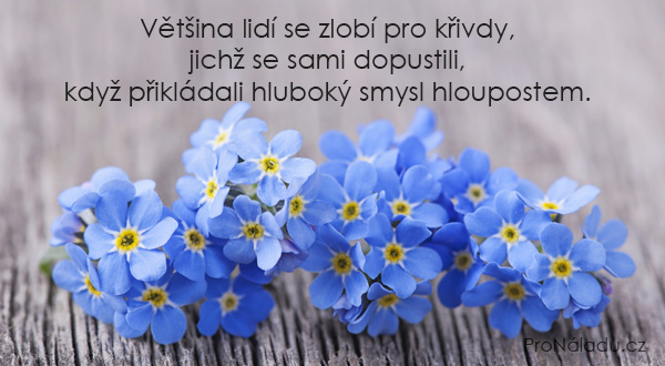 511-hlupostem