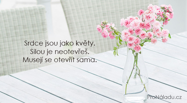 590-srdce-kvety