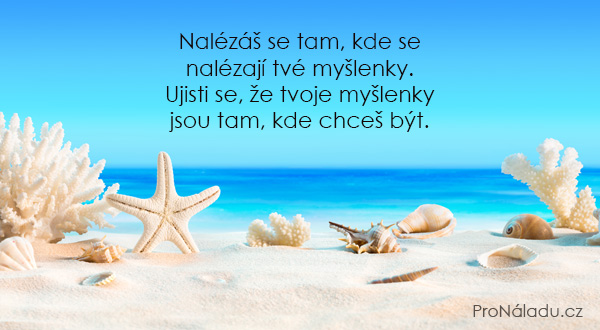 591-nalezas-se