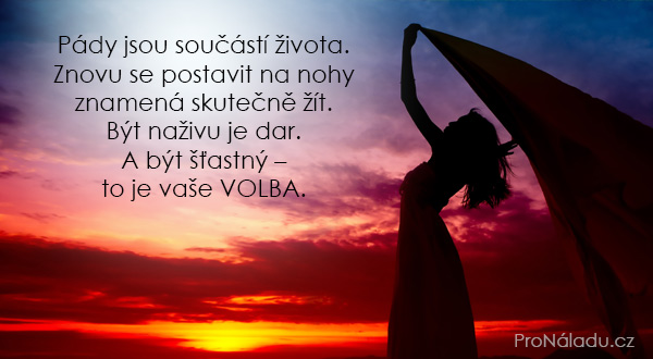 593-pady