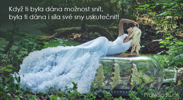 681-moznost-snit