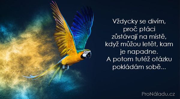 722-ptaci