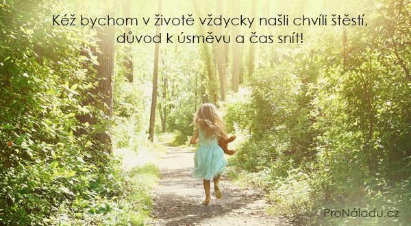 734-chvili-stesti