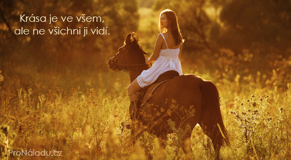 756-krasa-je-ve-vsem