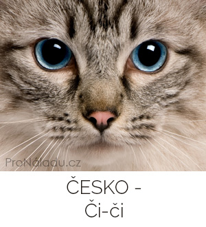 cesko