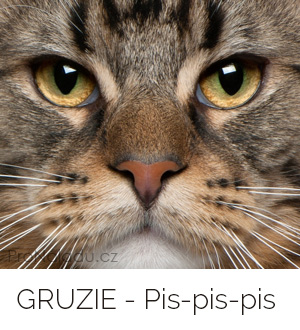 gruzie