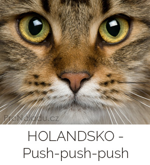 holandsko