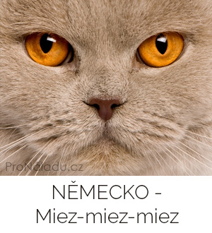 nemecko