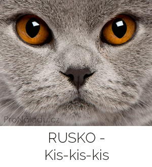 rusko