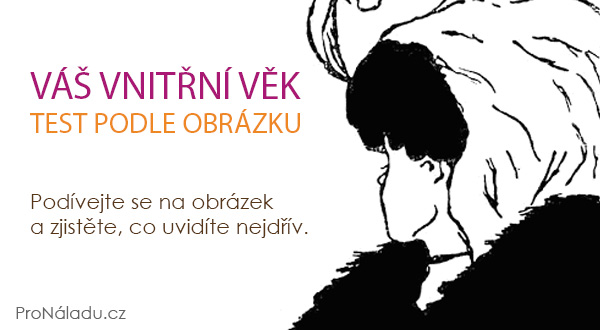 test-vnitrni-vek