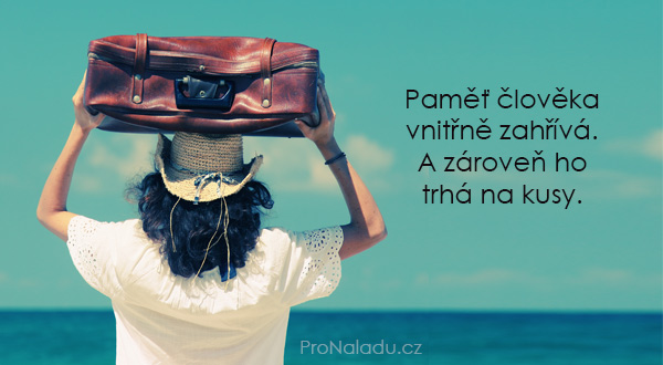 355-pamet