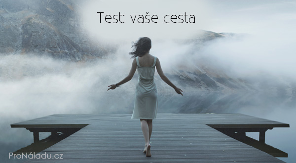 vaše-cesta